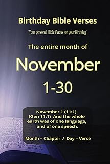 November Book Cover